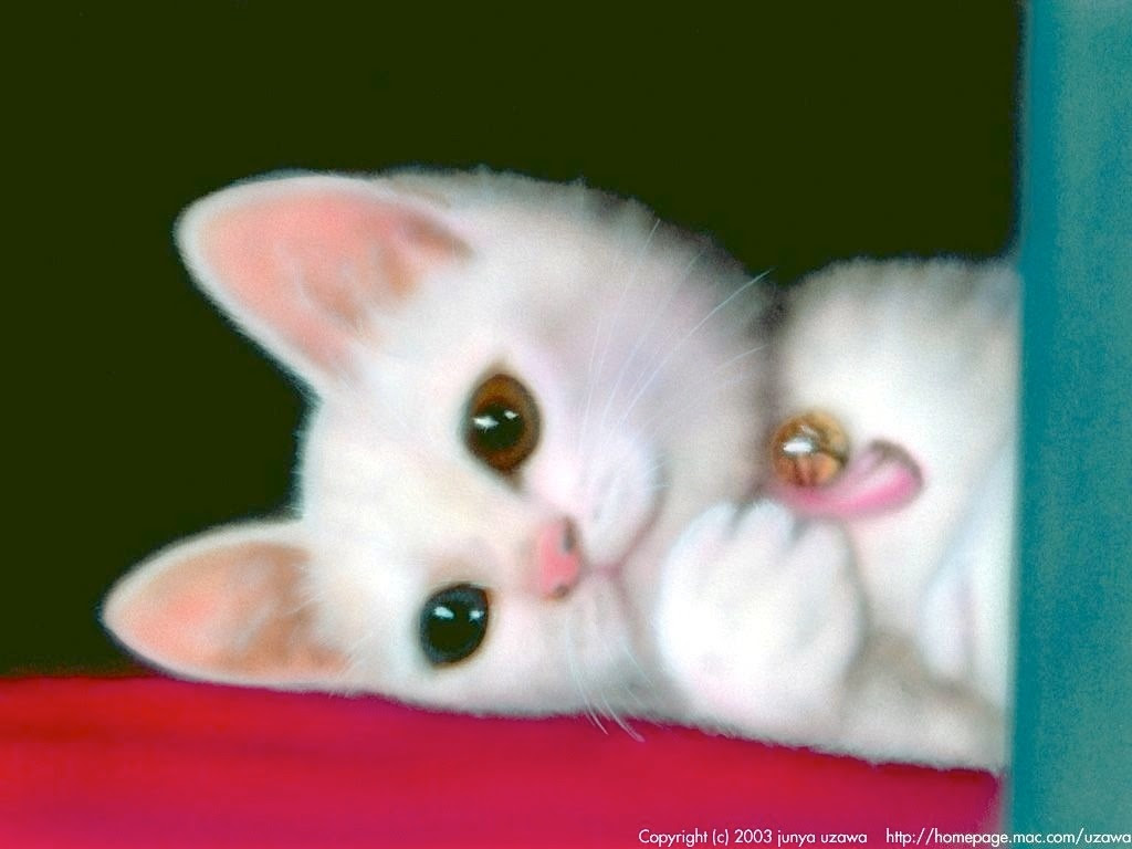 リアリズム絵画 動物の絵 動物イラスト 子猫の絵 Oddeye 幸運を呼ぶ猫