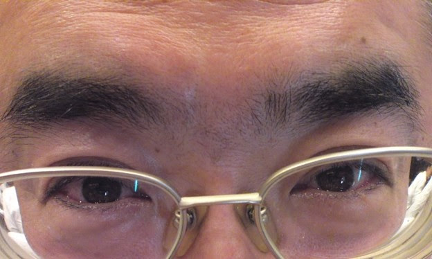 眉毛繋がる Photo Sharing Photozou