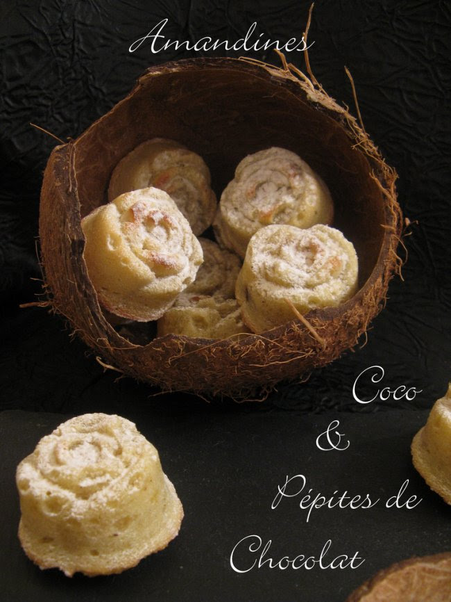 Amandines Coco & Pépites de Chocolat_5