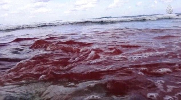 Horror: Blood is seen in the Mediterranean Sea four years after Muammar Gaddafi predicted it would become a 'sea of chaos'