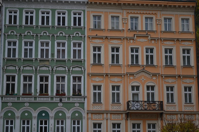 DSC_7585