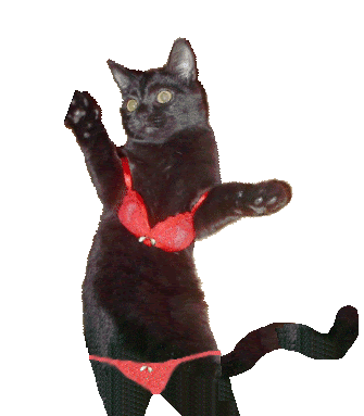 CaTuRDaY NiGhT FeVER!!!!