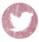 Photo Sharing and Video Hosting at flickr