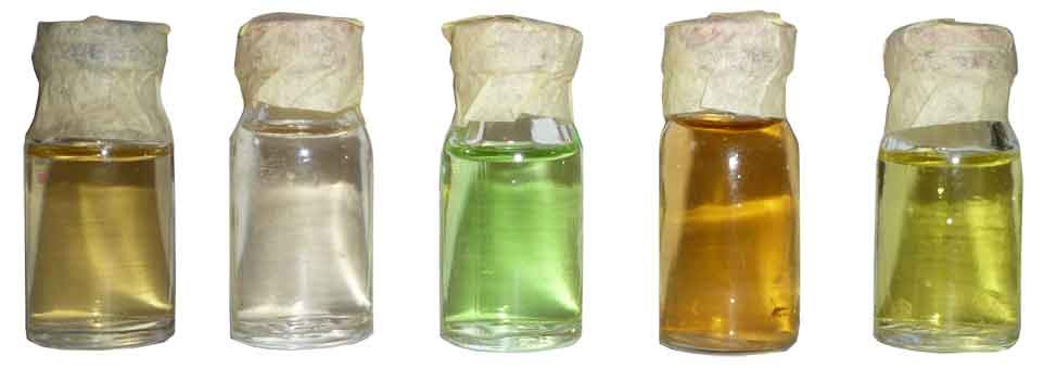 LES PARFUMS VAUDOU