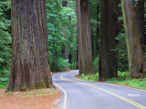2012_05_24 roadtrip humboldt 141