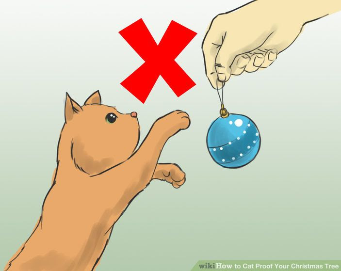 Cat out Step 5.jpg