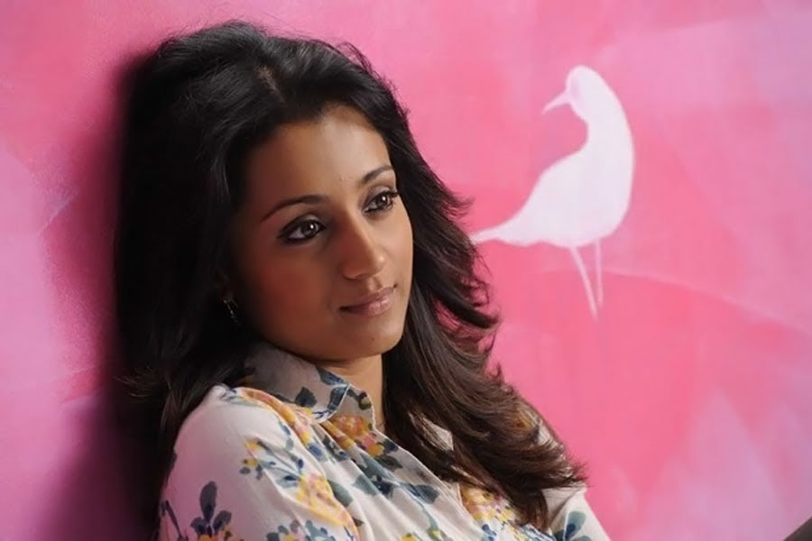TrishaMost Beautiful Charming Latest Stills