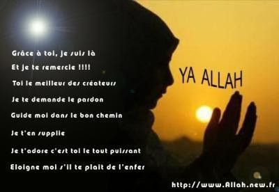 CITATIONS ISLAMIQUES