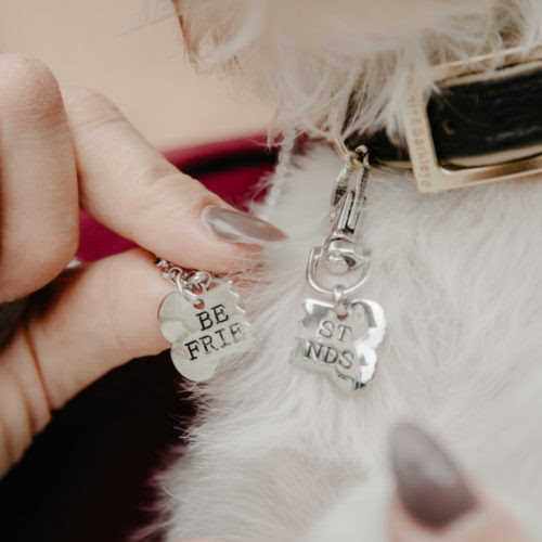 2 Piece Best Friend Necklace and Pet Tag Set