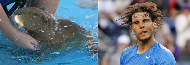We Just Found a Lookalike of Rafael Nadal
