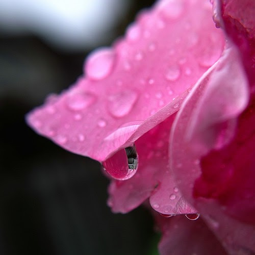 SDIM5275 (by slowhand7530)