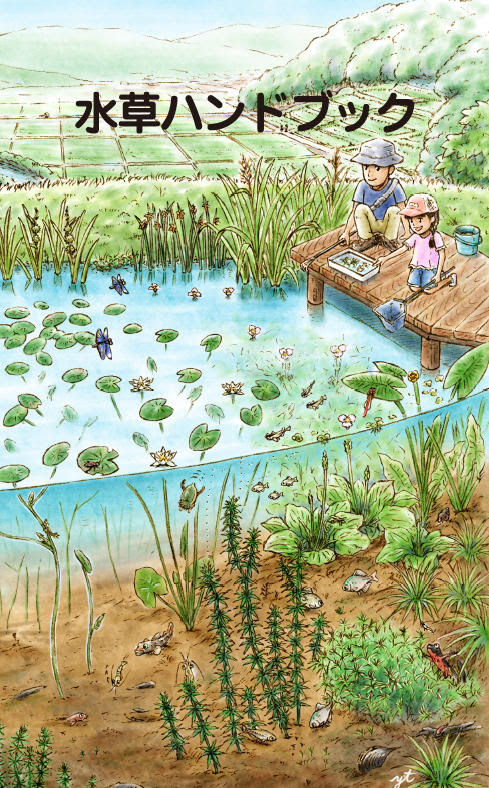 水草初心者必読 身近な１３３種類を解説した 水草ハンドブック が追加 生物専門図鑑の読み放題サイト 図鑑 Jp 山と溪谷社 新着情報 山と溪谷社