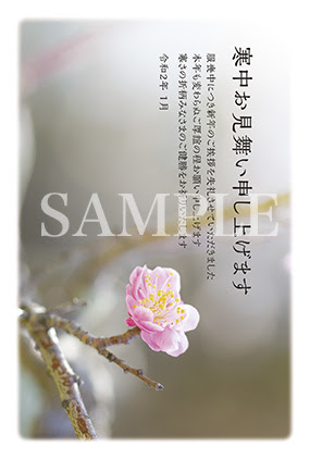 梅の花の寒中お見舞い ねずみ年 寒中見舞い