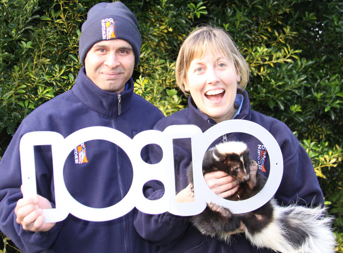  Helen Cavilla and Alvin the Skunk celebrate Newquay Zoo\'s 10:10 