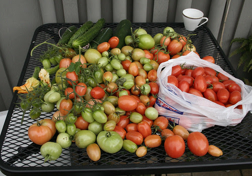 My Last Harvest