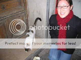 Photo Sharing and Video Hosting at Photobucket