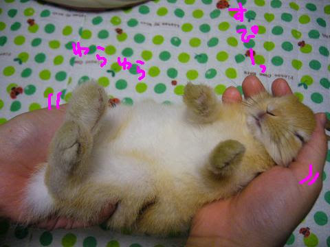 続 めけよ めけ 仰向けで睡眠
