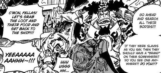 Onepiece 622 タイヨウの海賊団 我思う故に 新館我思う故に 新館