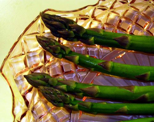 GARDEN ASPARAGUS by Louise001