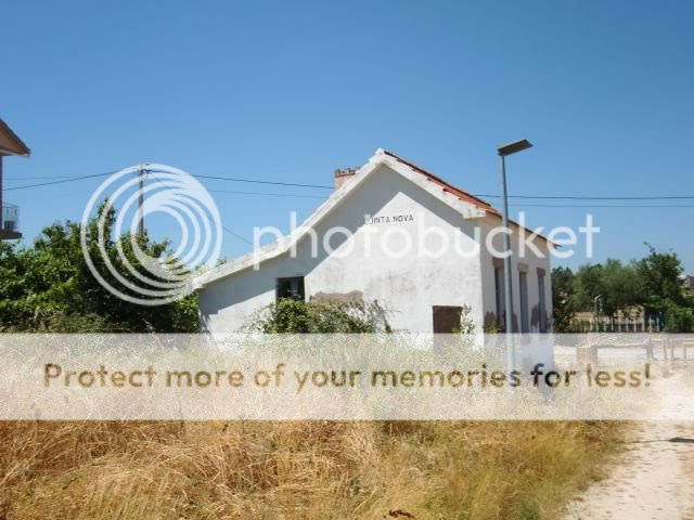  photo CIMG9282_zps56d19828.jpg