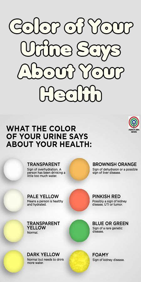  pin by jazzi j on health health chart health color