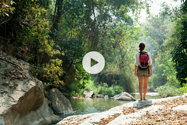 Video of the week Video of the week