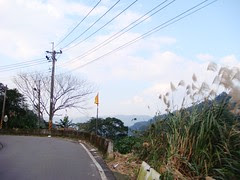 好久沒見到藍天(好像政治語言喔)