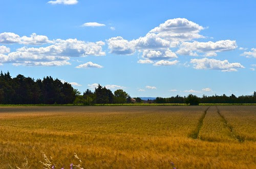 Provence countryside