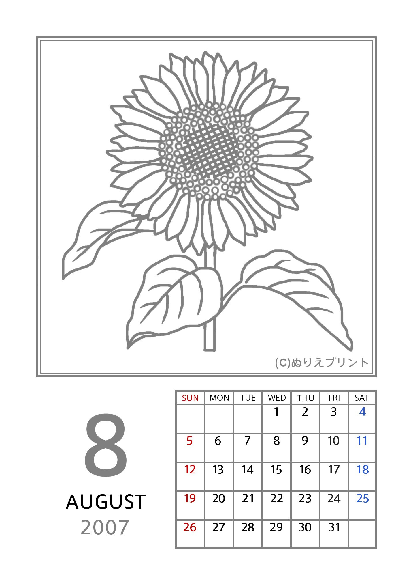 8月 ヒマワリ 向日葵 グレー 07 平成19年 花のぬりえカレンダー 無料 フリー ぬりえプリント