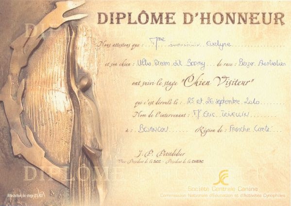 Diplome Depart A La Retraite