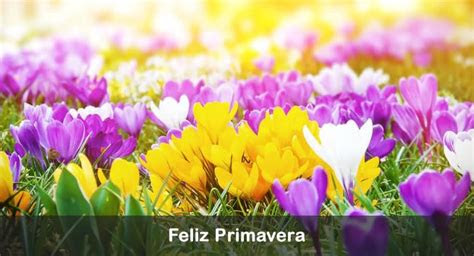 Con venus como guía, se puede conocer qué depara el 2022 para los signos del zodíaco en el amor. Feliz DÃ­a de la Primavera ã ImÃ¡genes con Frases de Amor y