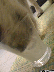 Photo Flipbook Slideshow Maker