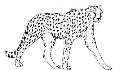 Cheetah Coloring Pages Run