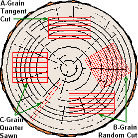 techniques aeromodelling open cars India's and for RC aeromodelling, forum hobby flying, stores
