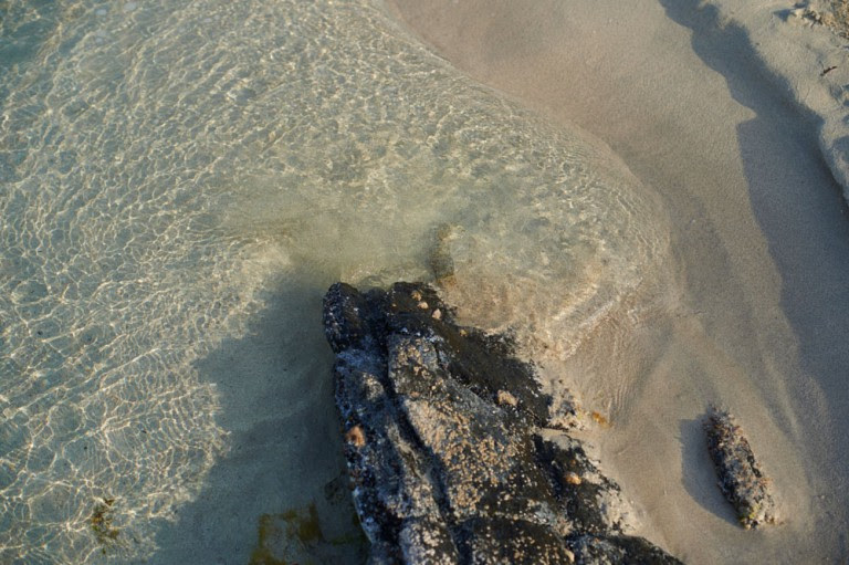 Adam Plucinski x c-heads (13)