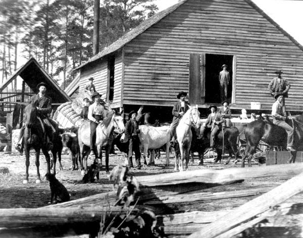 File Cotton gin EWM 2007