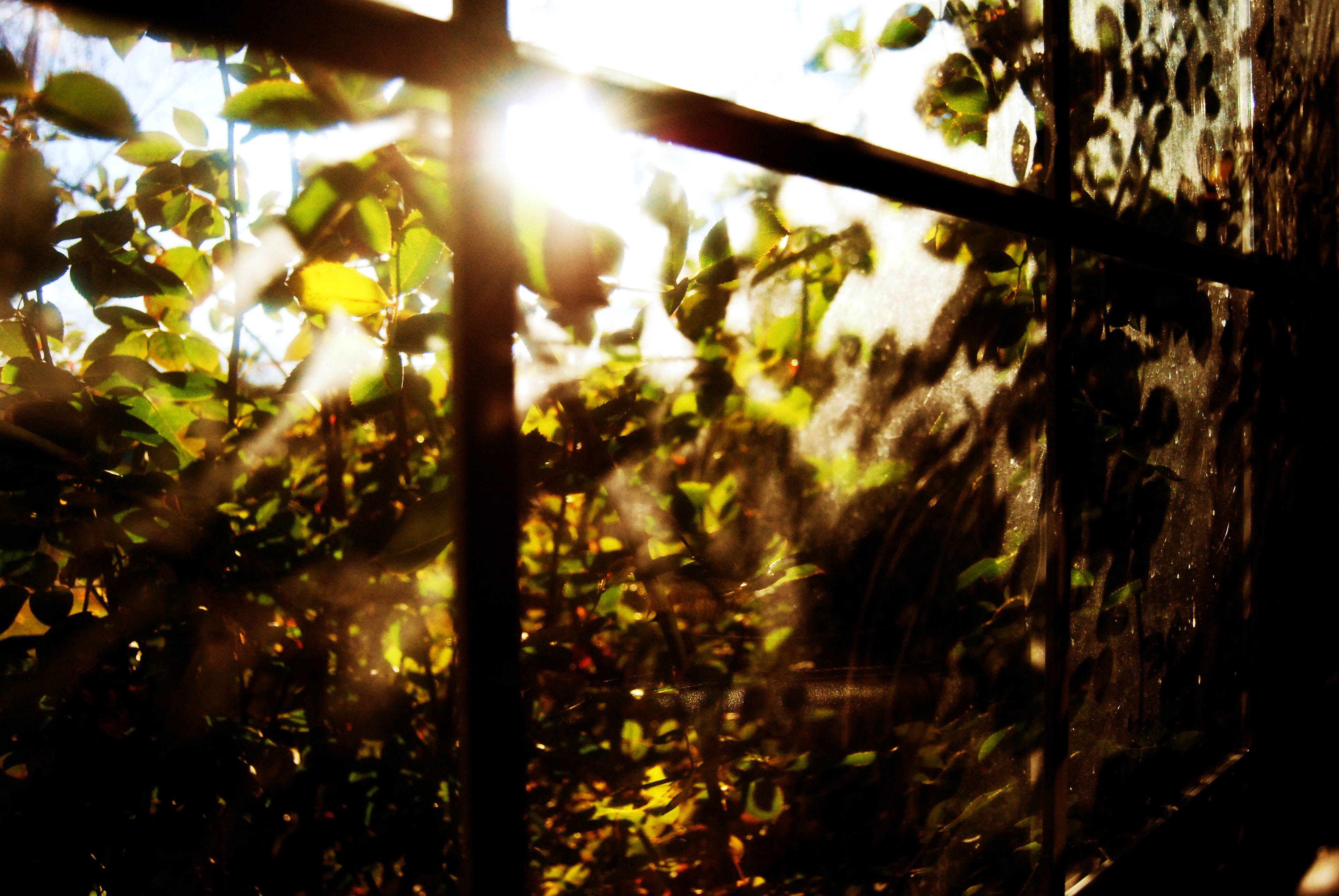 4149083357_f67202d216_o