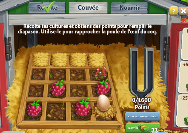 mission coq (2eme partie)