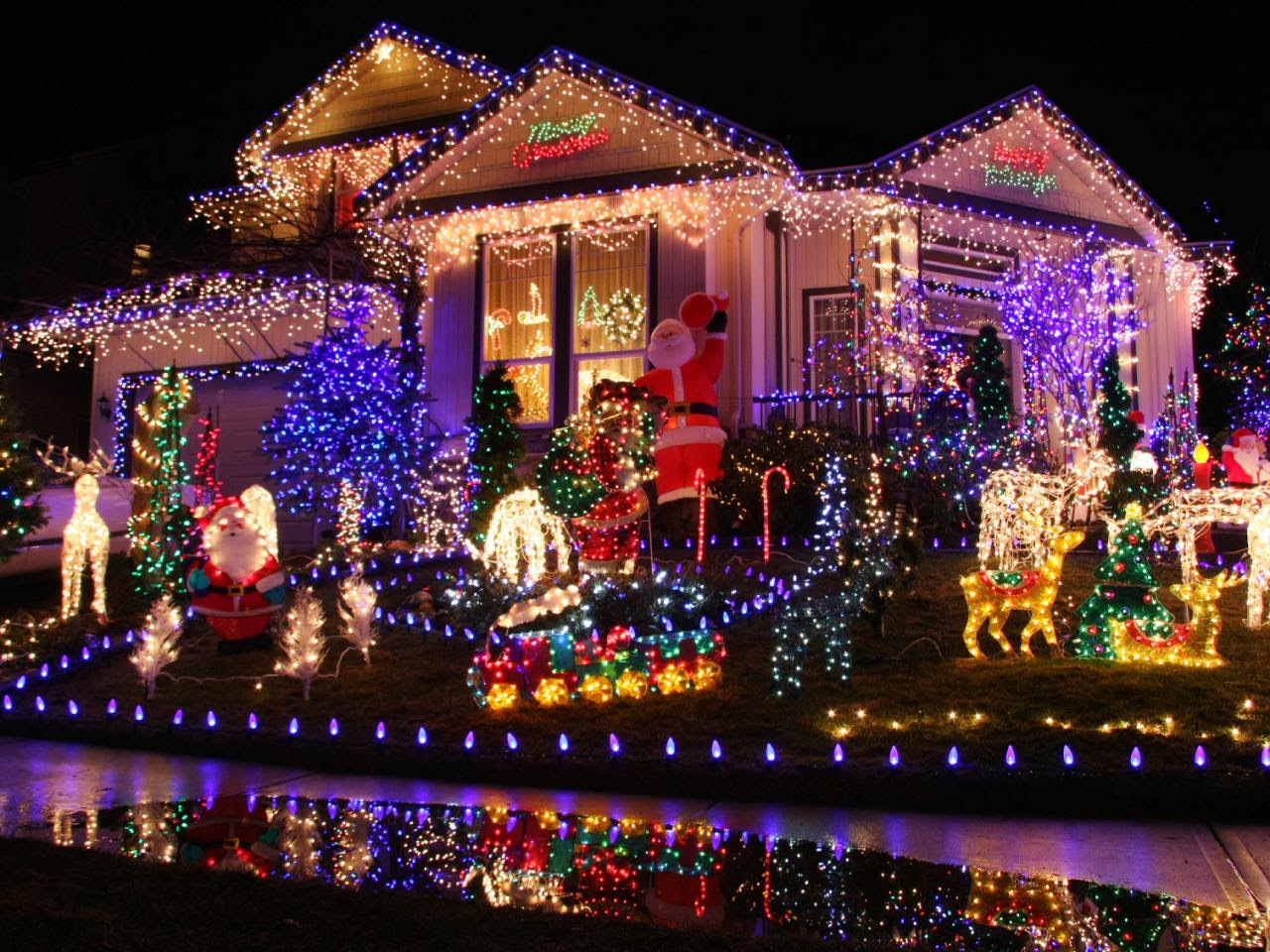 Image result for christmas light pictures