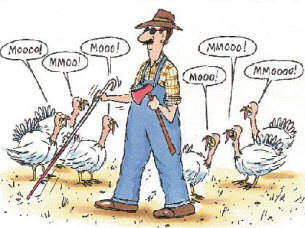 Thanksgiving turkey.  Funny but clean picture
