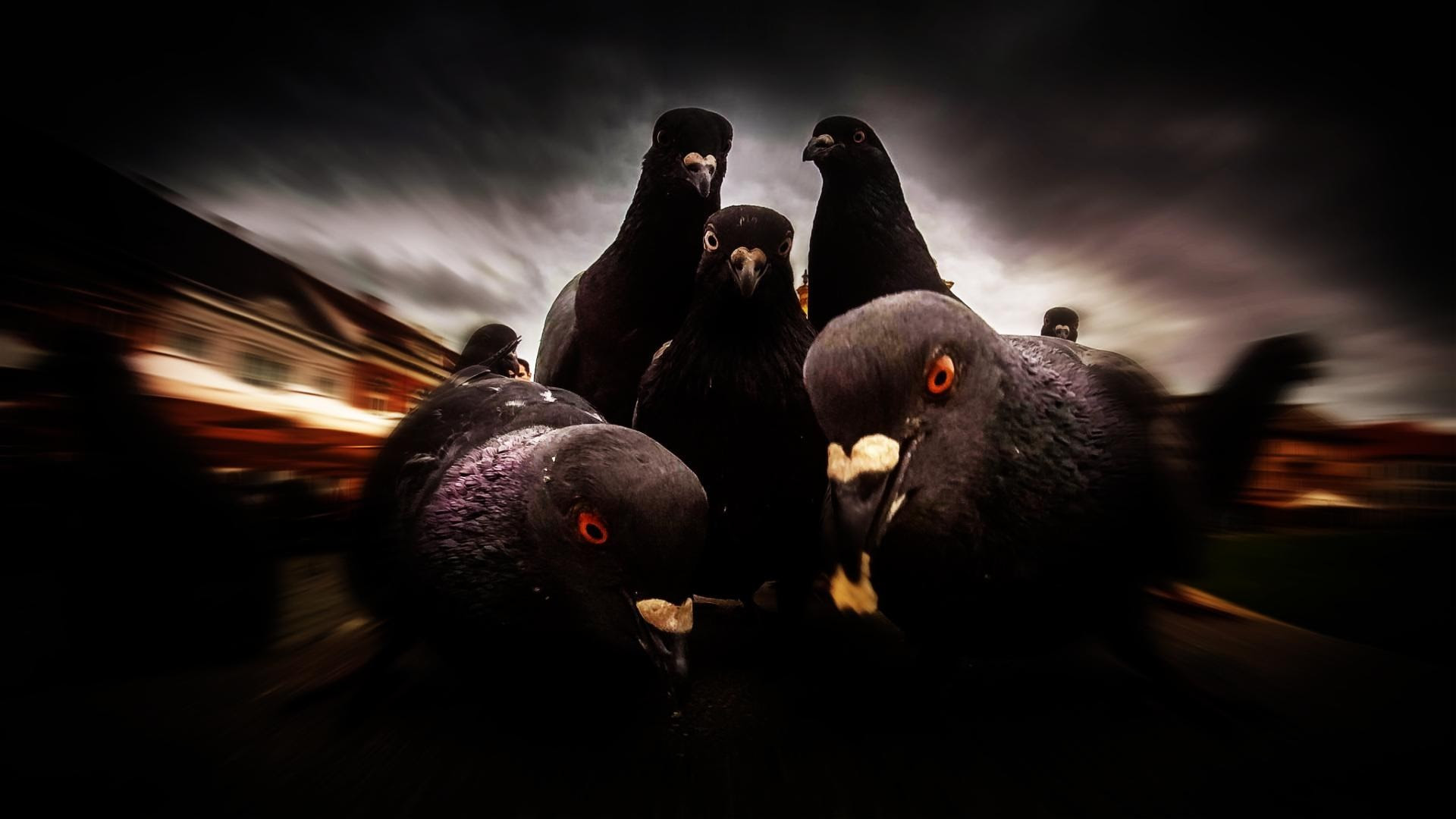 Die 67+ Besten Gangster Wallpapers