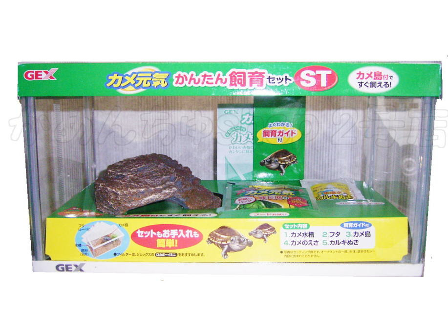 カメ用飼育水槽 単品 飼育セットなど 亀の飼育セット 通信販売 全国発送承っております 横浜市港南区のお店 実店舗有 かめんちゅshop 2号店