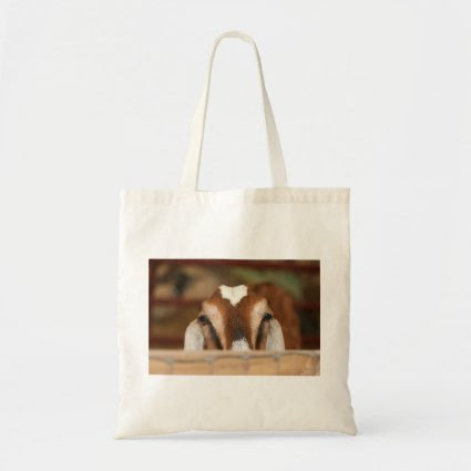Nubian doe peeking over wooden rail tote bag