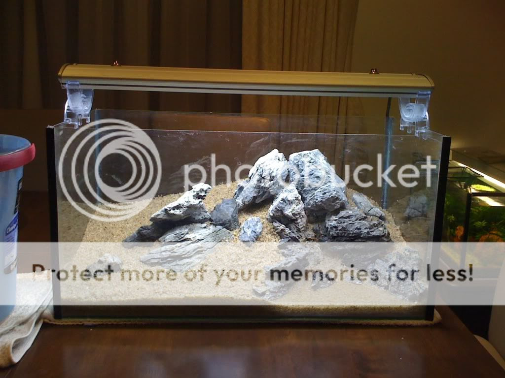 60cm Iwagumi Aquascape