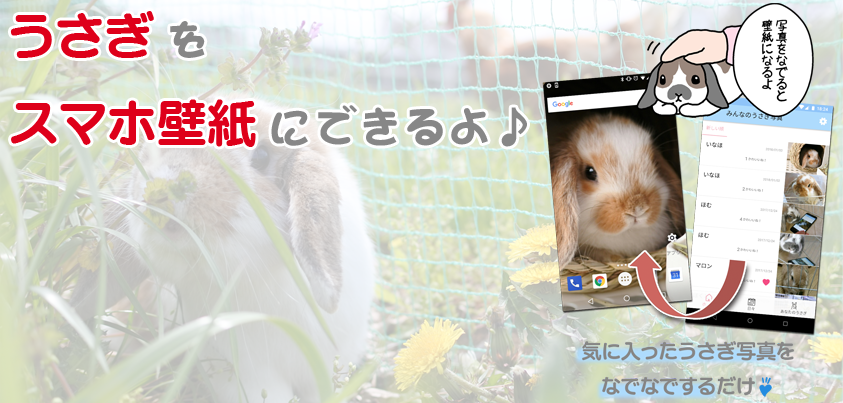うさぎ広場 かわいいうさぎ壁紙 うさぎ飼育日記アプリ