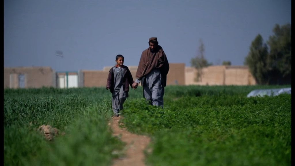 ã¿ãªãã³ç ´å£ã®ä»åç¾¤ã'ä¿®å¾© 7000åã®æ¬ çãã ã¢ãã¬ãã¹ã¿ã³ Bbcãã¥ã¼ã¹