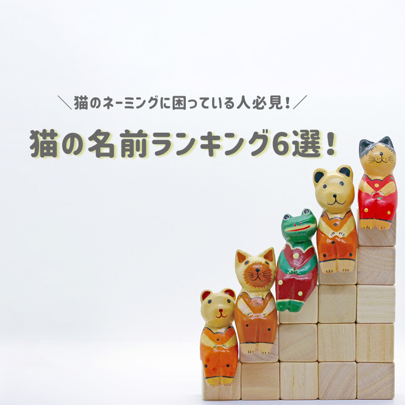 猫の名前ランキング6選 猫のネーミングに困っている人必見