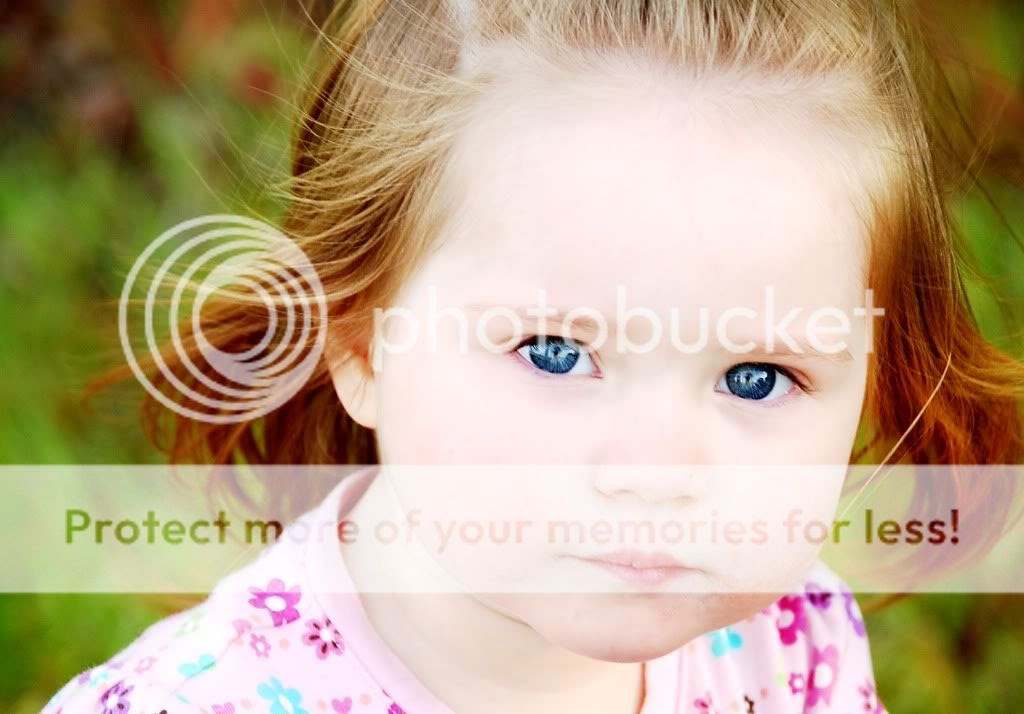 2 Year Old JBug