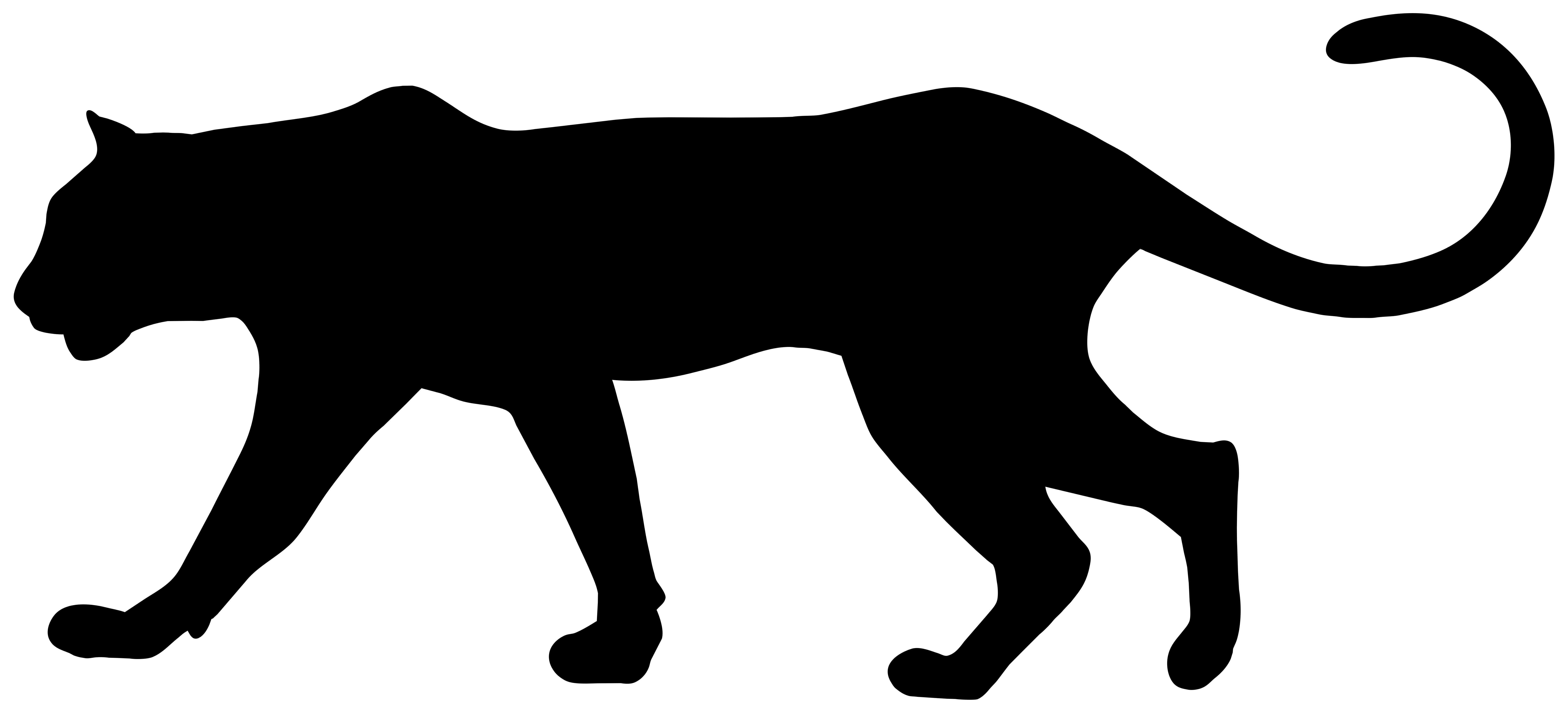 Puma clipart - Clipground