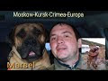 Видео Алушта. Улицы ночного города за 5 минут. Рассвет. Автовидеобзор. Крым 2017